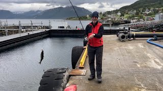 A New trip to Norway with some shore fishing [upl. by Ermey]