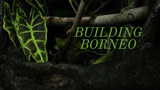 Building Borneo Vivarium [upl. by Ahseyn18]