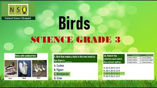 Science Olympiad class 3  Birds [upl. by Adav588]