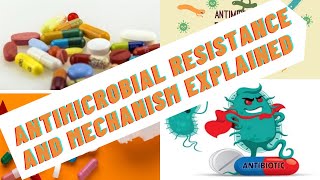 antibiotic resistance amp mechanism of resistance explained [upl. by Partridge]