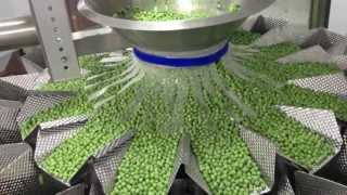 Automatic Weighing and Filling Frozen Peas  PrimoCombi multihead weigher [upl. by Queena167]