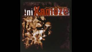 INI KAMOZE  Here Comes The Hotstepper  1994 [upl. by Repinuj463]