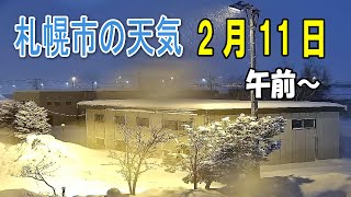 今の札幌 2月11日 午前～ 雪のち晴れ ☃️「大雪・なだれ」注意報 札幌ライブカメラ live [upl. by Lisette]