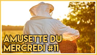 🐝Amusette du mercredi 11  Je réponds à vos questions en apiculture [upl. by Aicissej]