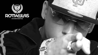 El Bandolero Audio  Cosculluela El Principe [upl. by Gasper]