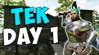 How I Tekked Out My BROKEN Castle SOLO  Ark [upl. by Lartnom]