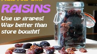 Make Your Own RAISINSNo dehydratorTRY it [upl. by Langsdon87]