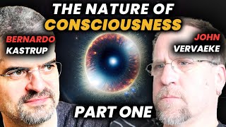 Bernardo Kastrup Λ John Vervaeke on MetaConsciousness [upl. by Volnak298]