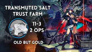 Arknights Transmuted Salt Trust Farm 113 2 Operators [upl. by Ainak951]