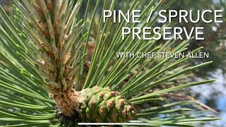 Pine and Spruce Preserve Jam [upl. by Ojeibbob569]