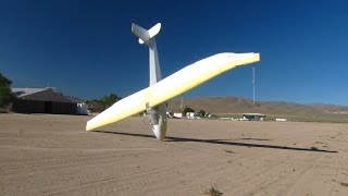 Most Hated Video Death of a Sailplane Total carnage SGS 233 [upl. by Stutzman77]