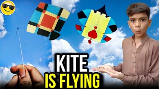 quite is flying 😲  how to do make kite [upl. by Ara821]