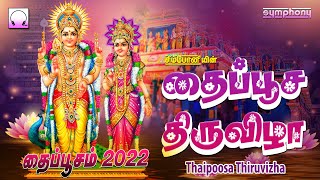 தைப்பூச திருவிழா  தைப்பூசம் சிறப்பு முருகன் பாடல்  Thaipoosa Thiruvizha  Thaipoosam Murugan songs [upl. by Flory]