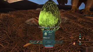 ARK RAGNAROK COMO ROBAR HUEVOS DE WYVERN FACIL [upl. by Standush672]