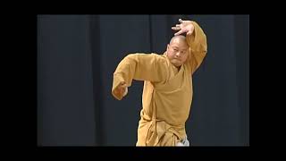 SHAOLIN 18 ARHAT HANDS 羅漢十八手 BY SHI YANAO 释延奥 [upl. by Ennasus501]