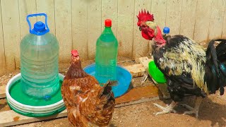 Como hacer Bebedero para gallinas o animales gratis con botellas [upl. by Robby]