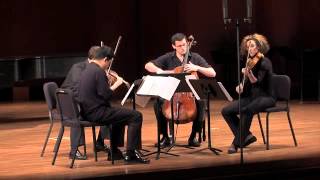 Ligeti String Quartet No 1 quotMétamorphoses nocturnesquot Movements I  XII [upl. by Eisor465]