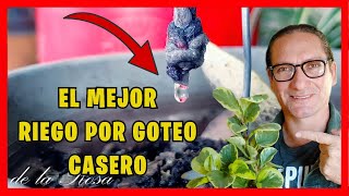 EL MEJOR sistema de RIEGO POR GOTEO CASERO para todas las plantas  Gio de la Rosa [upl. by Engapmahc253]