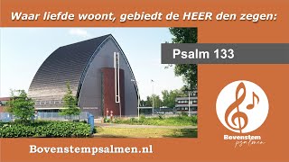 Psalm 133 vers 3 samenzang met bovenstem  Orgel Peter Wildeman [upl. by Anitsirt]