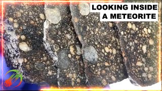 Meteorite Slices Showing Chondrules ☄️ in hand amp under microscope  type LL3 Chondrite [upl. by O'Conner558]