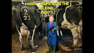 HARRY HELPS WITH THE MILKING PART 1 [upl. by Ferree]