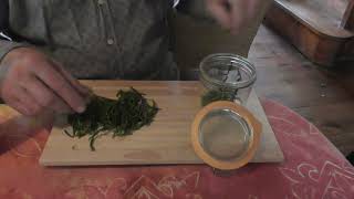 Comment faire un délicieux vinaigre à la salicorne  How to Make Delicious Glasswort Vinegar [upl. by Aicenra498]