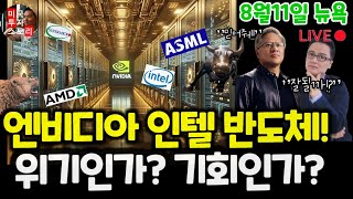 반도체 침체 이대로 괜찮나 중간점검 엔비디아 인텔 AMD 브로드컴 삼성 마이크론테크놀로지 TSMC SOXX기관흐름 산업전망 공매도흐름 목표주가 적정주가 [upl. by Enibas728]