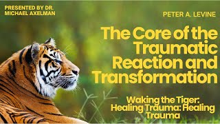 The Core of the Traumatic Reaction and Transformation  Peter A Levine [upl. by Hsirehc]