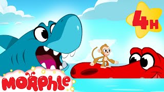 Why do Sharks and Crocodiles Live in Salt Water 🦈🐊  Morphles Family  Preschool Kids Cartoons [upl. by Ilamad]