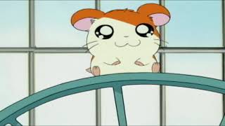 HAMTARO Little Hamsters Big Adventures [upl. by Retrak]