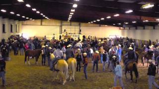 The Ride with Cord McCoy Pitzer Ranch [upl. by Adnaloy]