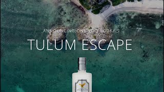 Announcing the ONE ROQ Tulum Escape [upl. by Akilegna]