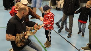 Krybdyrsmesse tiltrak hele familien [upl. by Eladnek]