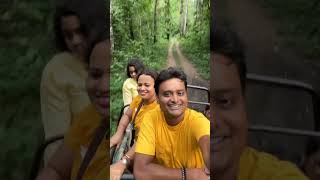 Gorumara National Forest music shortsfeed travel lataguri [upl. by Ashla]