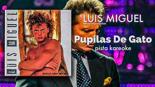 Luis Miguelpupilas de gatokaraoke demo [upl. by Kippar]