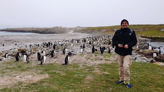 Celebrity Eclipse Antarctica Cruise day 10 Falkland Islands Islas Malvinas [upl. by Annohsed]