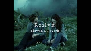 Bon Iver  Roslyn Slowed amp Reverb [upl. by Jeavons]