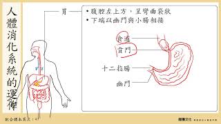 108選生三 22 消化系統1 人體消化系統一 [upl. by Artined316]