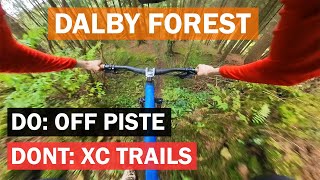 Dalby Forest  Off Piste Madness Avoid the Trail Centre XC route mtb bike forest downhill [upl. by Balling]