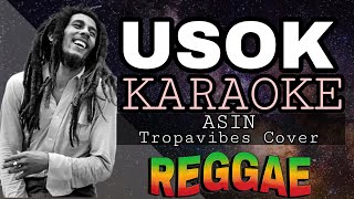 USOK  REGGAE KARAOKE VERSION  MVM KARAOKE PLAYLIST [upl. by Ahtreb768]