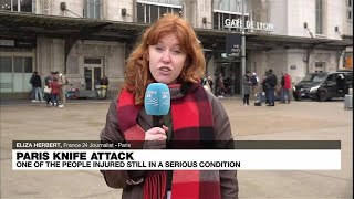 Knife attack at Pariss Gare de Lyon train station wounds three • FRANCE 24 English [upl. by Murtha270]