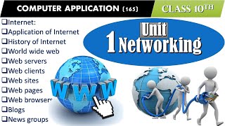 Class 10 Unit 1 NETWORKING  Computer Application 165 [upl. by Thelma]