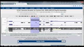 4 UCSC Genome Browser Tutorial table browser [upl. by Arabeila]