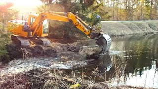 Huge Beaver Dam Taken Down By Excavator [upl. by Arlette]