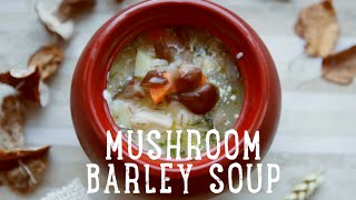 Mushroom Barley Soup BA Recipes [upl. by Ahsytal627]