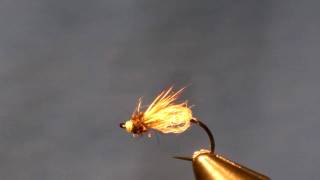 LaFontaine Sparkle Caddis Pupa Fly Tying [upl. by Ibbison645]