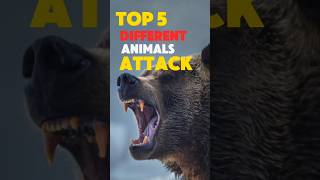 TOP 5 insane ANIMALS attack techniques [upl. by Hamfurd]