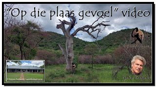 Dwaalboom 800 ha Opvolgbesoek Revisit Wildplase te koop [upl. by Acinom477]