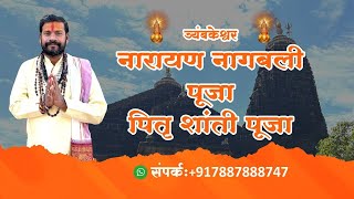 Narayan Nagbali Puja Trimbakeshwar  Pitra Dosh Pooja [upl. by Ilrac342]