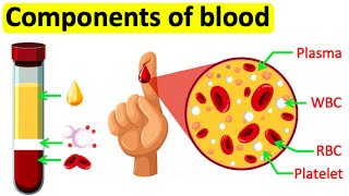 Components of blood  RBC WBC Plasma amp Platelets  Easy science lesson [upl. by Milde]